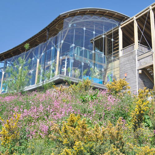 Welsh Wildlife Centre