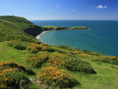 Llangrannog Beach